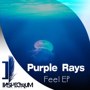 Feel (Maxi-Single) album cover