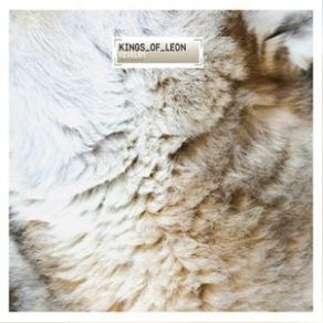 Revelry (Maxi-Single) album cover