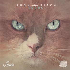 Tears (Maxi-Single) album cover