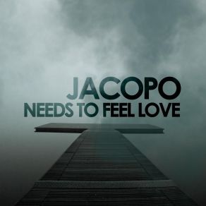 Needs To Feel Love (Maxi-Single) album cover