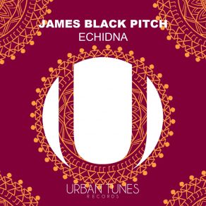 Echidna (Single) album cover