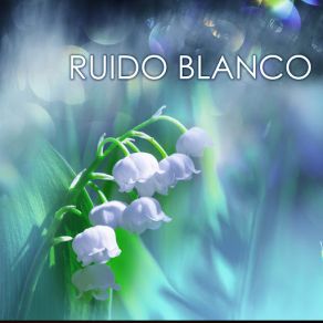 Ruido Blanco Y Canciones De Cuna Para El Relax De Tu Bebe album cover