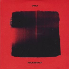 Polaroid album cover