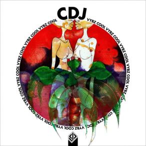 Cool Vybz album cover