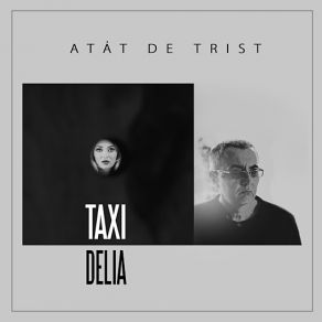 Atat De Trist (Delia) (Single) album cover