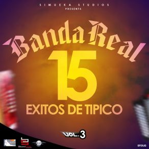 15 Exitos De Tipico, Vol 3. album cover