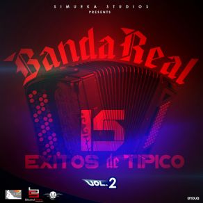 15 Exitos De Tipico, Vol. 2 album cover