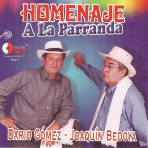 Homenaje A La Parranda album cover