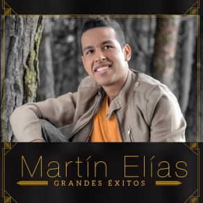 Grandes Éxitos (CD1) album cover