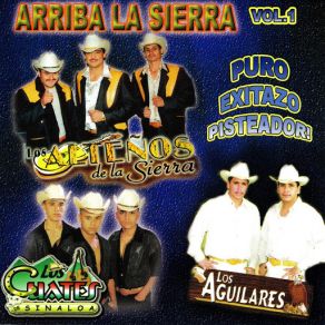 Arriba La Sierra, Vol. 1 album cover