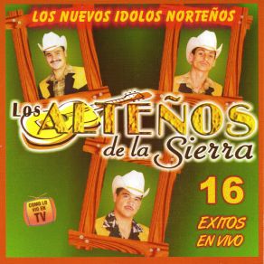 16 Exitos En Vivo album cover