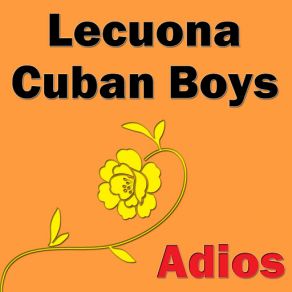 Adios album cover
