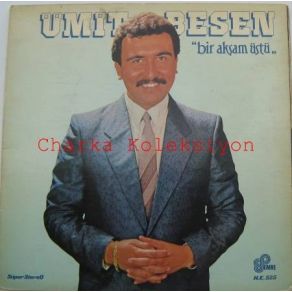 Bir Aksam Üstü album cover