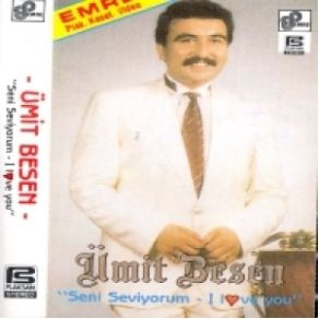 Seni Seviyorum (I Love You)  album cover