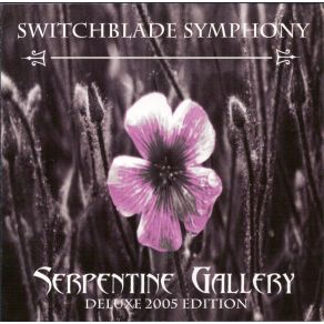 Serpentine Gallery album cover