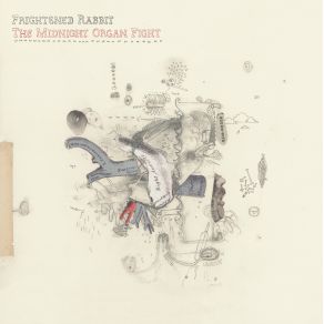 The Midnight Organ Fight album cover
