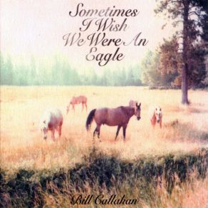 Sometimes I Wish We Were An Eagle album cover