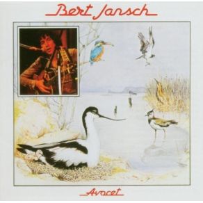 Avocet album cover