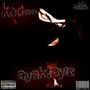 Ayaktayız album cover