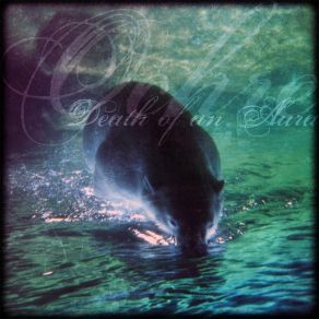 Death Of An Aura album cover