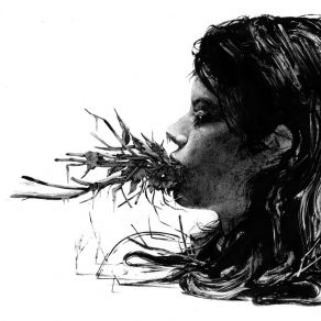 Entanglements album cover