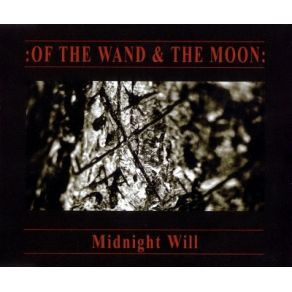 Midnight Will album cover