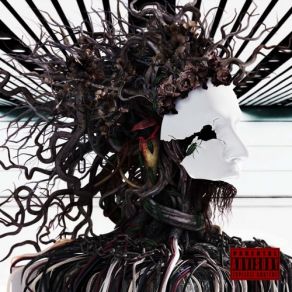 Distress And Coma album cover