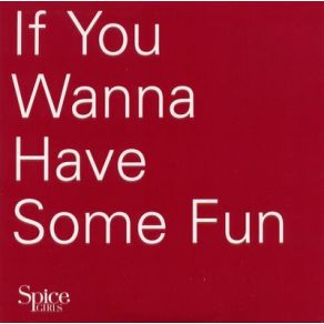 If You Wanna Have Some Fun - Promo album cover