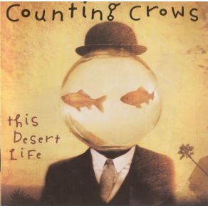 This Desert Life album cover