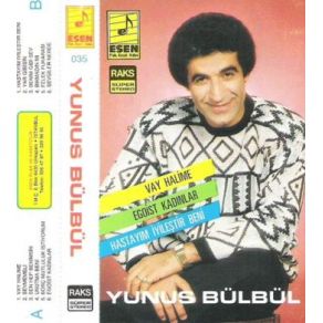 Vay Halime album cover