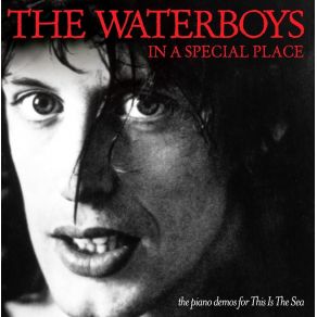 In A Special Place album cover