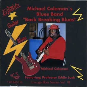 Back Breaking Blues: Chicago Blues Session, Volume 19 album cover