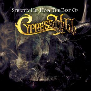 Strictly Hip Hop (The Best Of) album cover