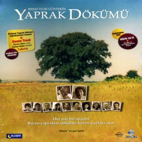 Yaprak Dökümü album cover