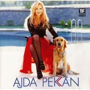 Ajda 96 album cover