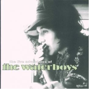 The Live Adventures Of The Waterboys album cover
