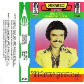 Bir Yiğit Gurbete Gitse album cover