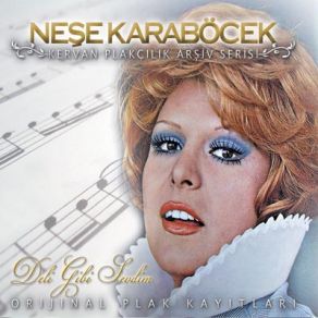Deli Gibi Sevdim album cover