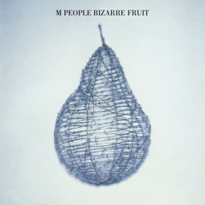 Bizarre Fruit album cover