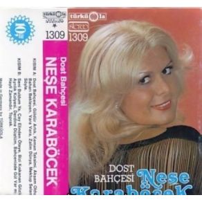Dost Bahçesi album cover