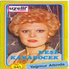 Yağmur Altında album cover
