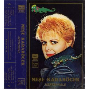Kertenkele album cover