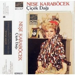 Çiçek Dağı album cover