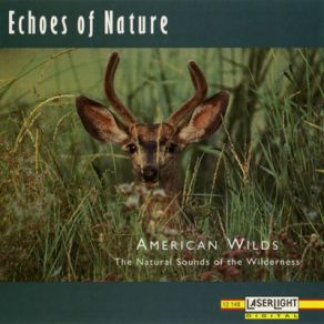 American Wilds album cover