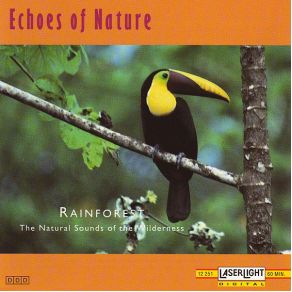 Echoes Of Nature: Rainforest album cover