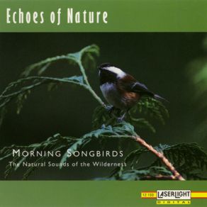 Echoes Of Nature: Morning Songbirds album cover