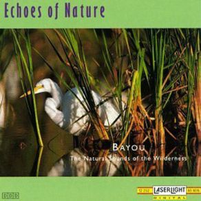 Echoes Of Nature: Bayou album cover
