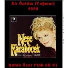 Bir Öptüm & Yağmur album cover