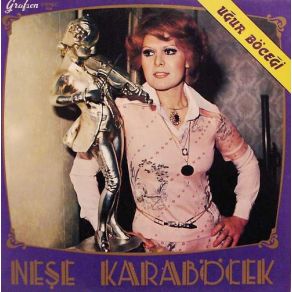Uğur Böceği album cover