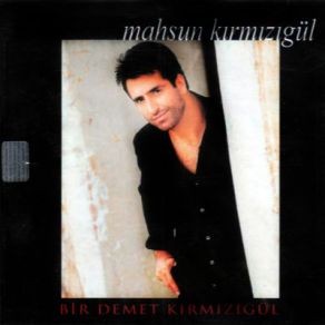 Bir Demet Kırmızıgül album cover